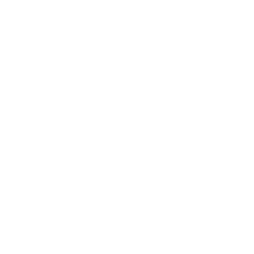 Berlindeyiz Almanya Logosu
