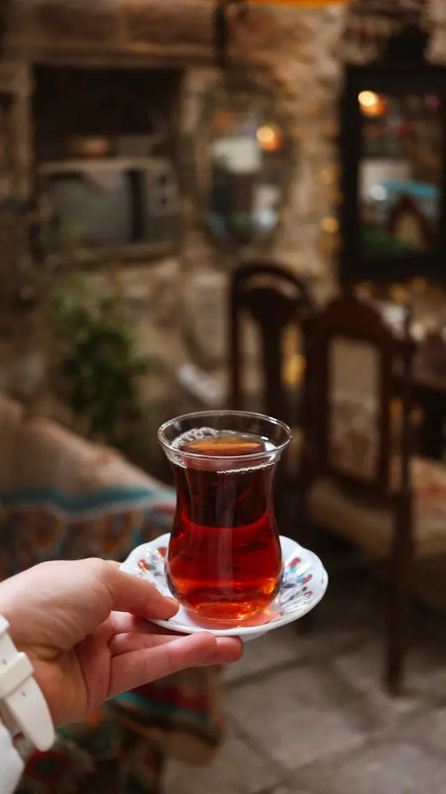 Türk Çayı Berlinde